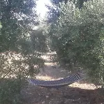 Hébergement de vacances Trullo Salento Alto *