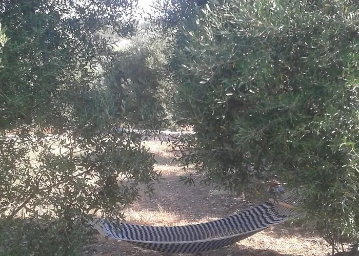 بيت للعطل Trullo Salento Alto *